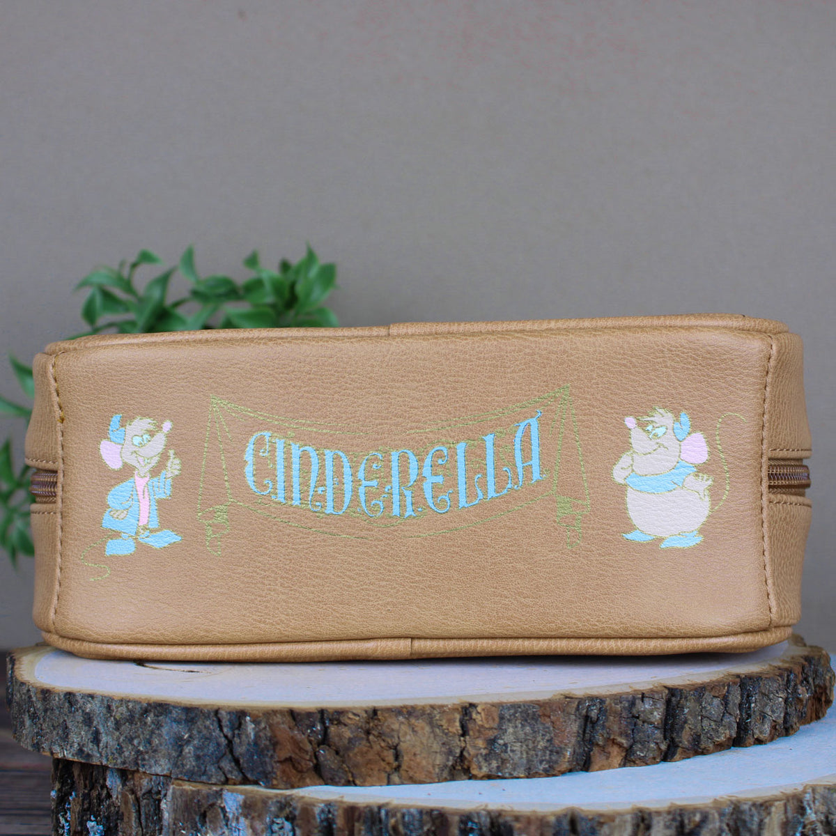 Cinderella Storybook Inspired Disney Cosmetic Travel Pouch