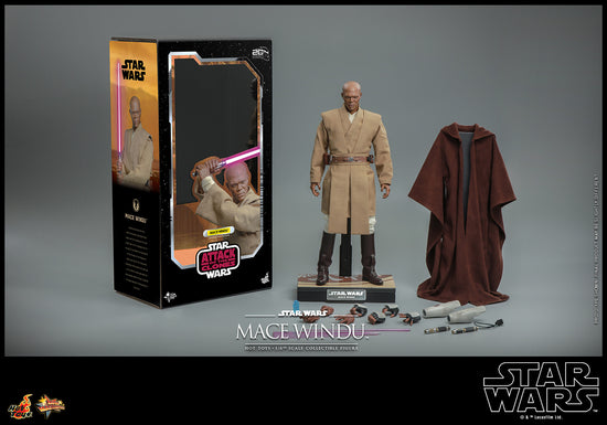Mace Windu (Star Wars: Attack of the Clones) 1:6 Figure by Hot Toys