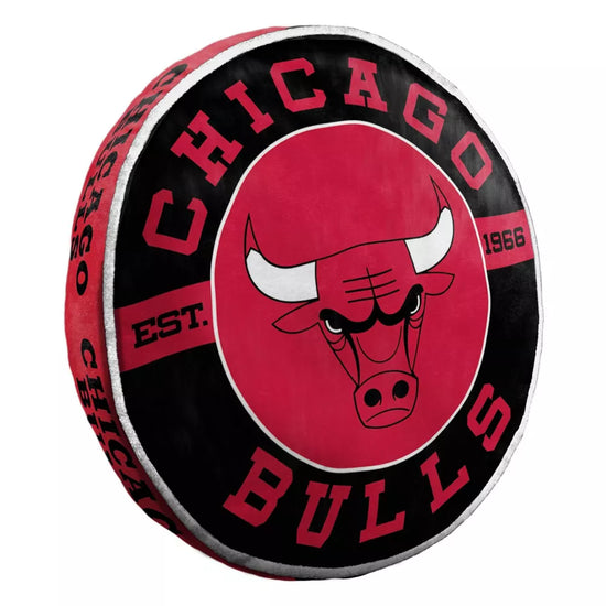 NBA Chicago Bulls Cloud Pillow