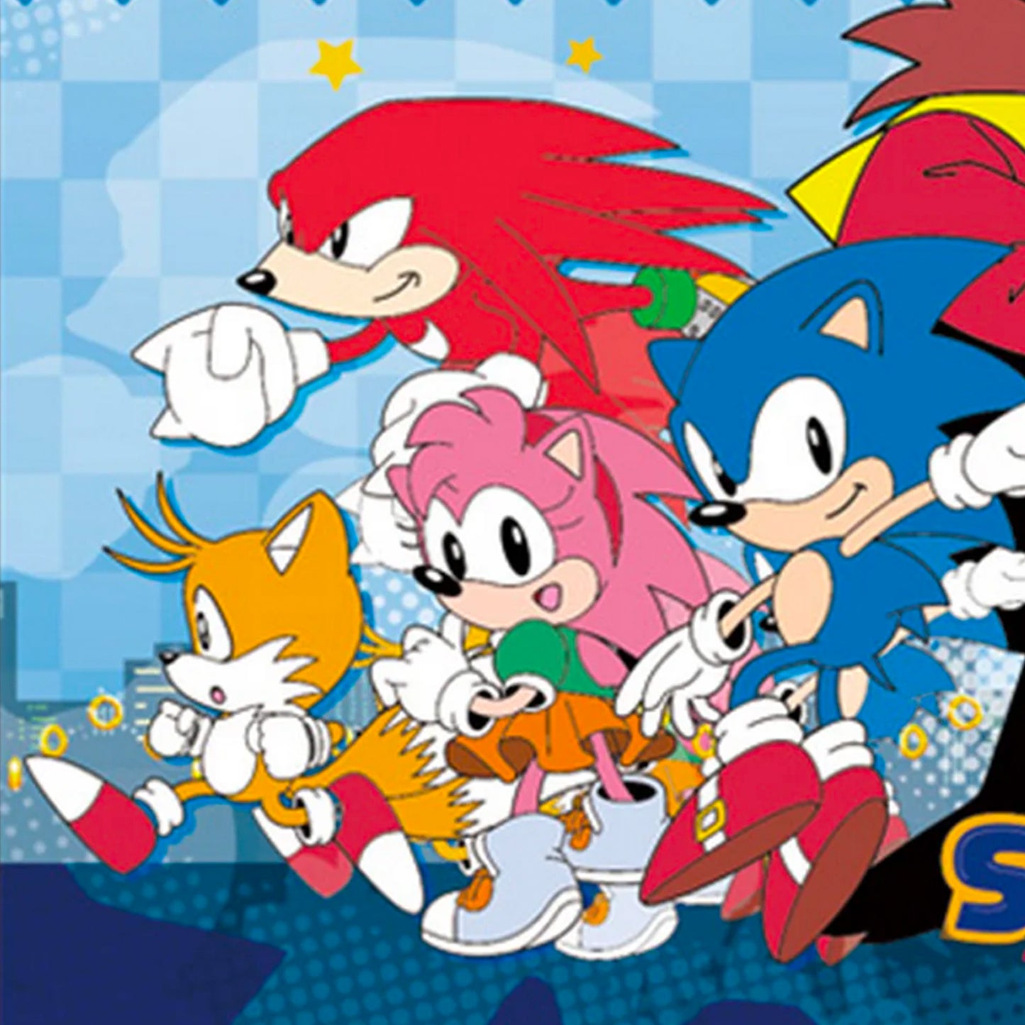Classic City Group (Sonic the Hedgehog) 46" by 60" Sublimation Fleece Throw Blanket