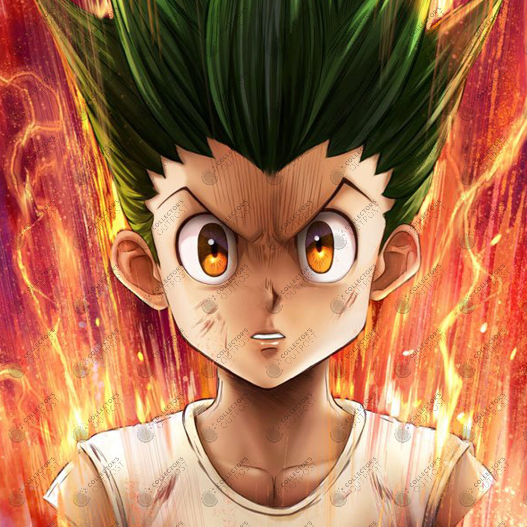 Gon Freecss 