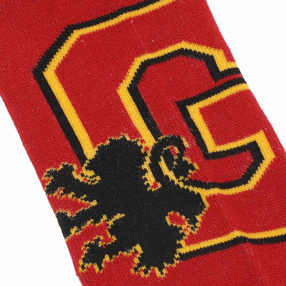 Harry Potter Gryffindor Crest 5-Pack Ankle Socks