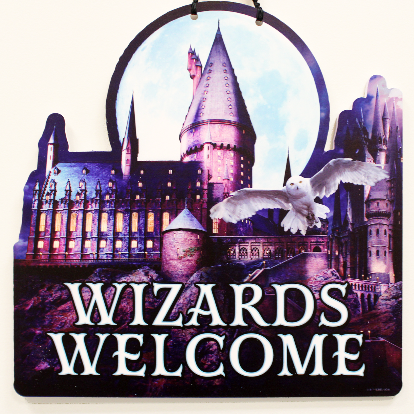 Harry Potter "Wizards Welcome" Hanging Wall Sign