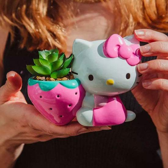 Hello Kitty & Strawberry (Sanrio) Mini Ceramic Planter with Faux Plant