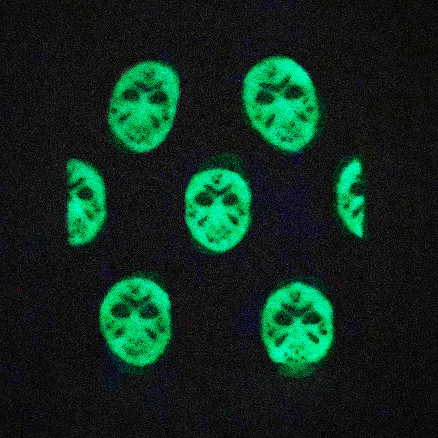 Jason Voorhees (Friday the 13th) All Over Print Glow in the Dark Cuff Beanie Hat