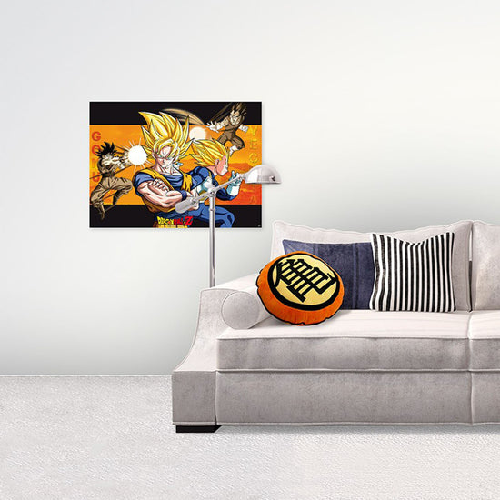 Load image into Gallery viewer, Kame Symbol (Dragon Ball) Plush Cushion
