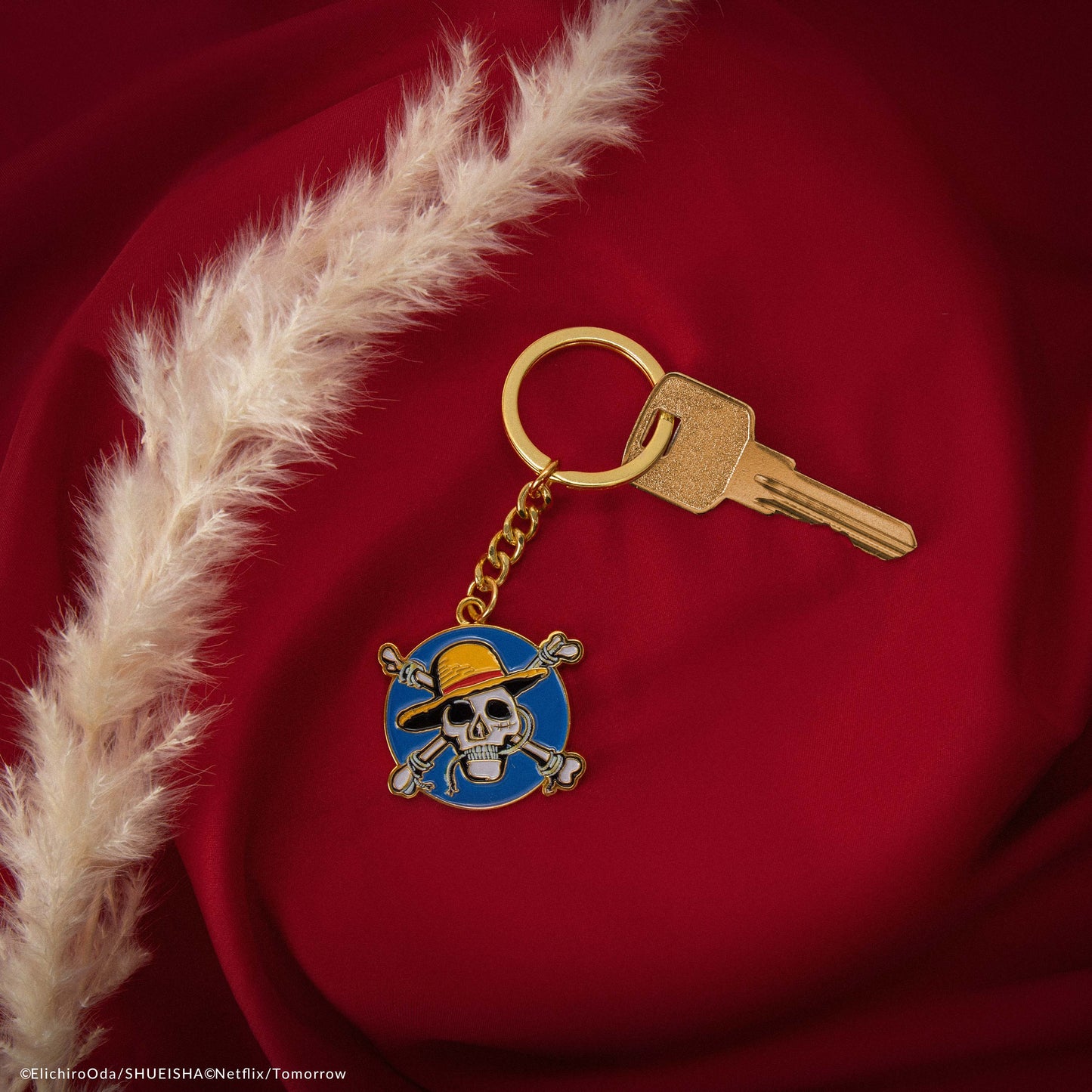 Netflix One Piece Live Action Luffy Keychain