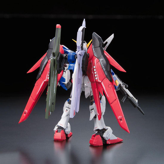 RG 1/144 Destiny Gundam Gunpla Kit