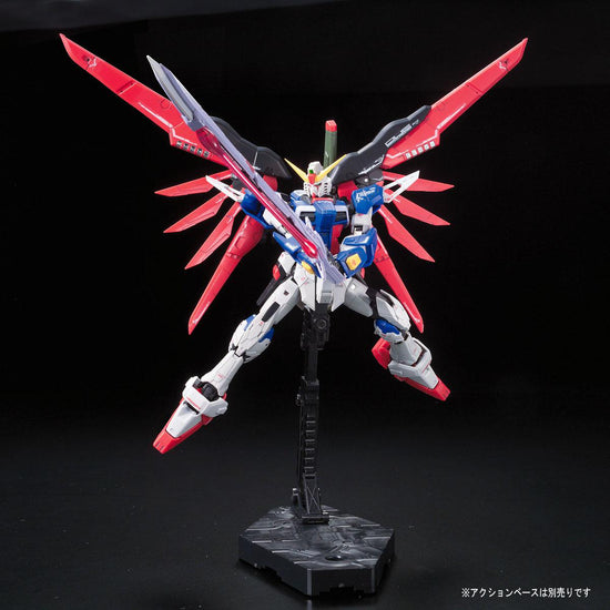 RG 1/144 Destiny Gundam Gunpla Kit