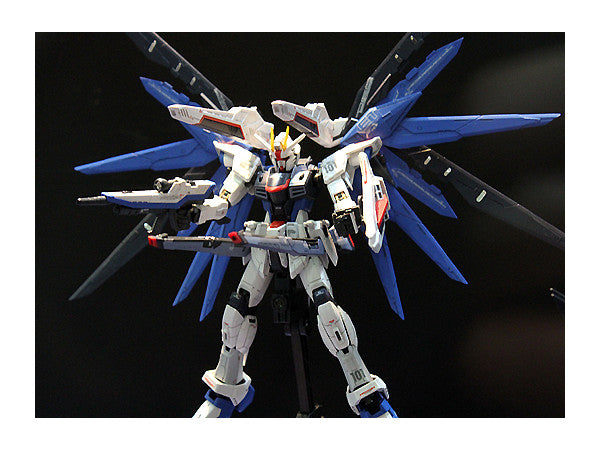 RG 1/144 Freedom Gundam Gunpla Kit