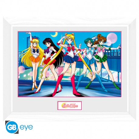 Sailor Moon Sailor Scouts Group Framed Print (30x40)