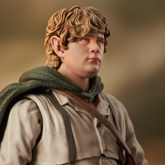 Samwise Gamegee (Series 6) Deluxe Lord of the Rings Action Figure