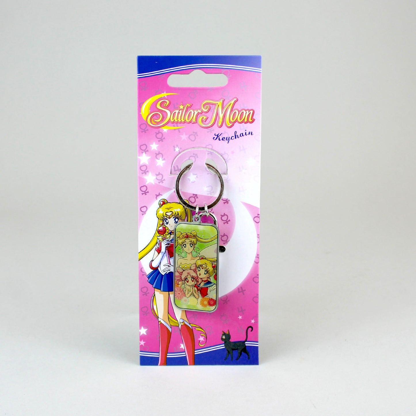 Load image into Gallery viewer, Serenity, Moon, &amp;amp; Chibiusa (Sailor Moon S) Metal Keychain
