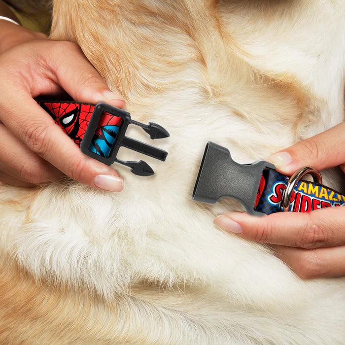 Spider-Man Nylon Buckle Dog Collar