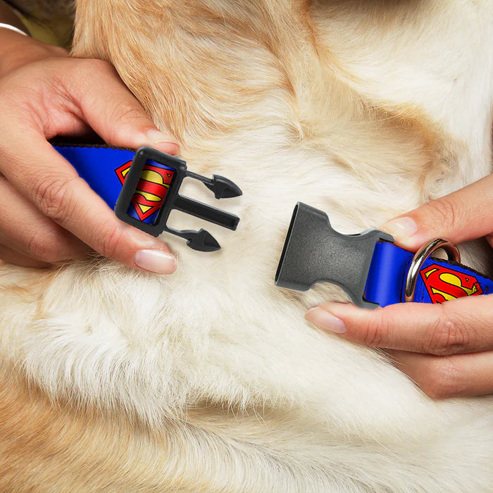 superman-nylon-buckle-dog-collar