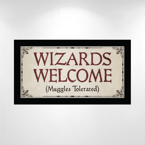 Wizards Welcome "Muggles Tolerated" Harry Potter Framed Wall Sign