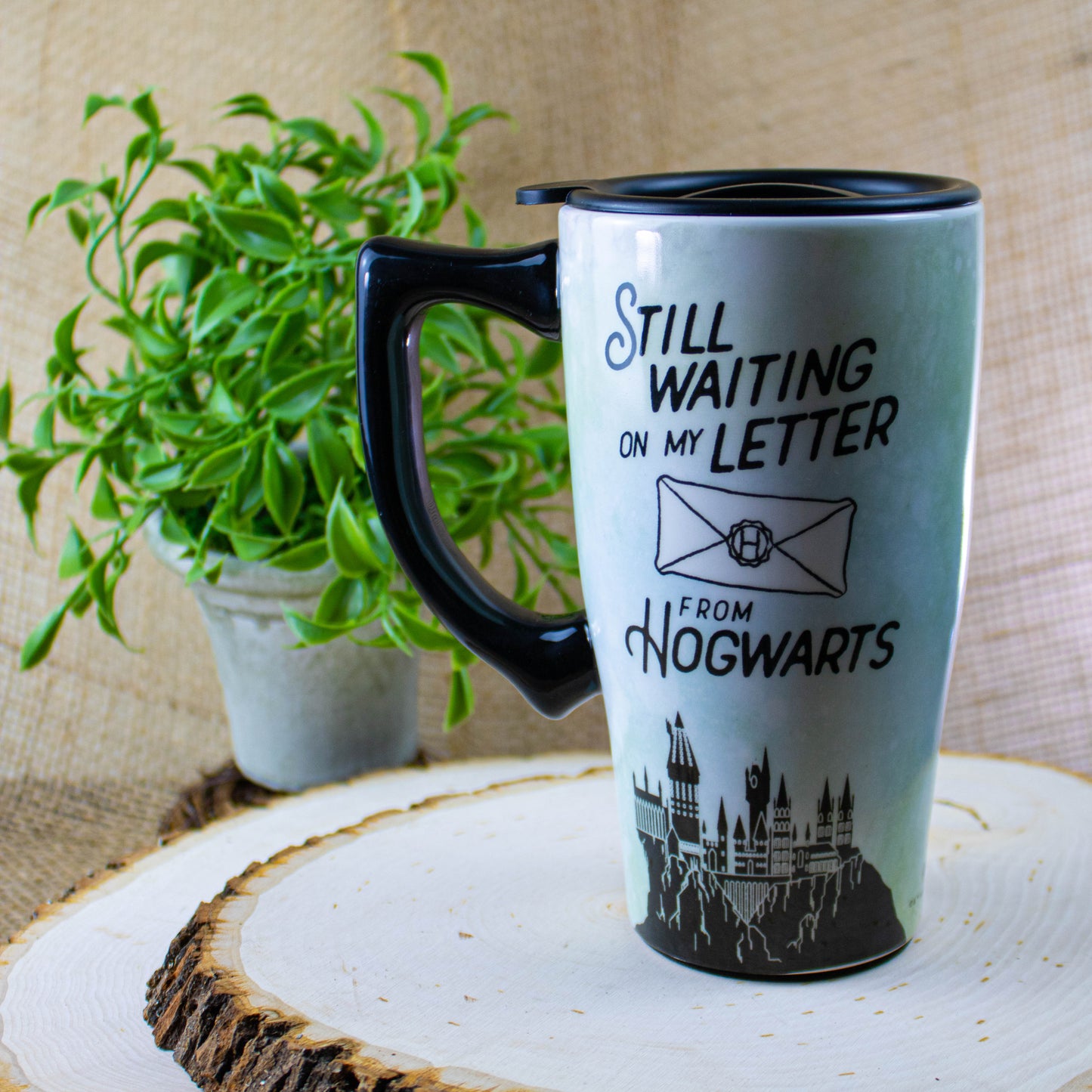 Harry Potter pottery mug