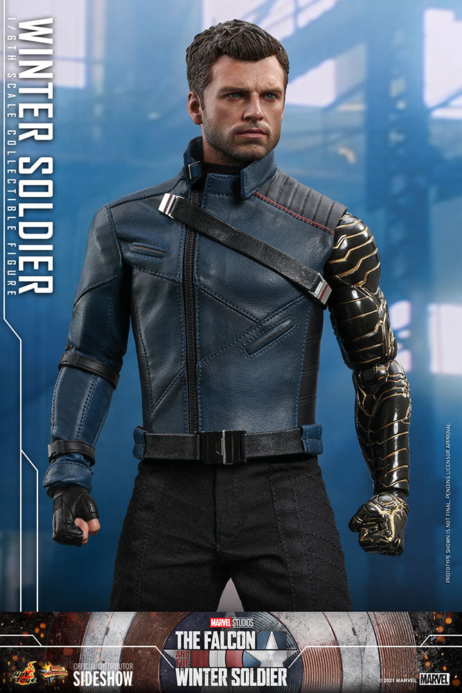 Winter Soldier (The Falcon and the Winter Soldier) Marvel 1:6 Figure by Hot Toys