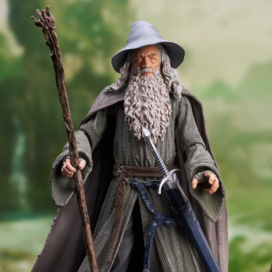Gandalf (Lord of the Rings) Series 4 Deluxe Action Figure