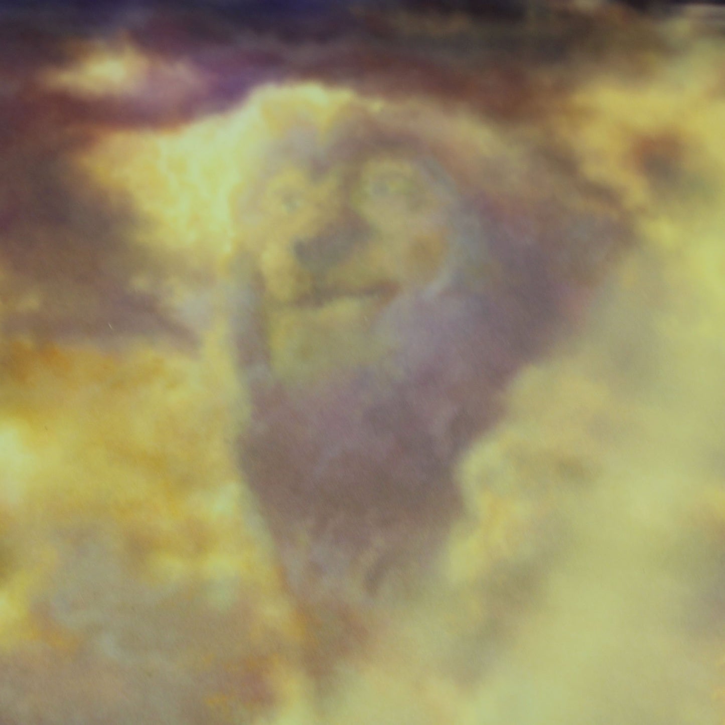 Load image into Gallery viewer, The Lion King (Disney) Thomas Kinkade Framed Art Print
