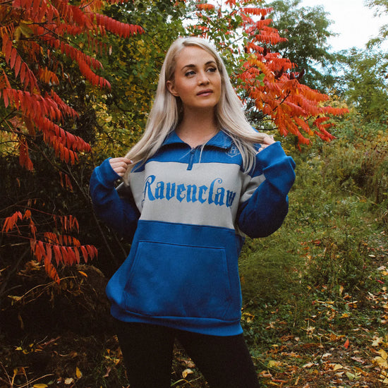 Ravenclaw (Harry Potter) Pullover Sweater by Cakeworthy