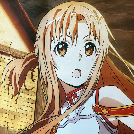 Load image into Gallery viewer, Asuna, Kirito, &amp;amp; Lizbeth at the Town Walls (Sword Art Online) Fabric Wall Scroll

